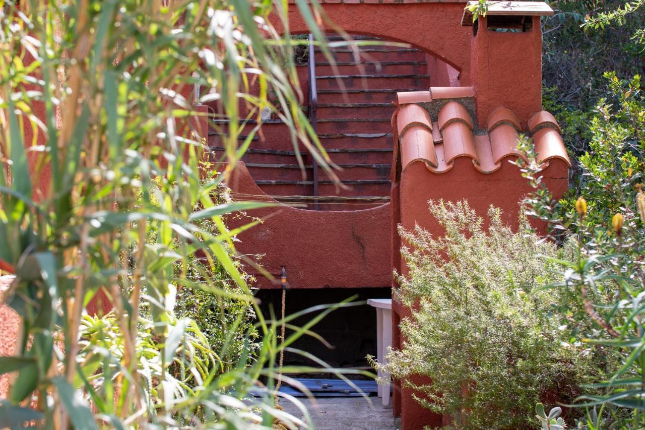 Villa Bougainvilliers Banyuls-sur-Mer Buitenkant foto